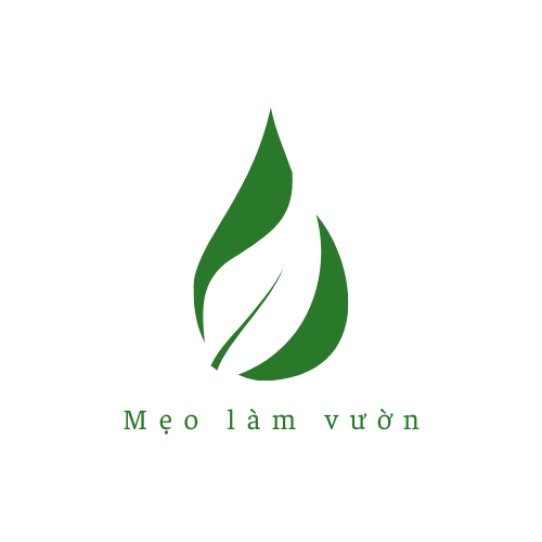 meolamvuon